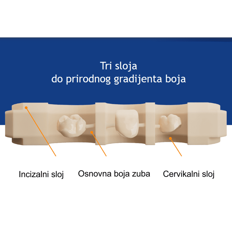 Grandio disc – VOCO - Slika 2